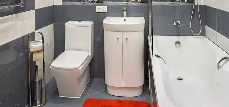 Hansgrohe Shaving Mirror Tinton Falls